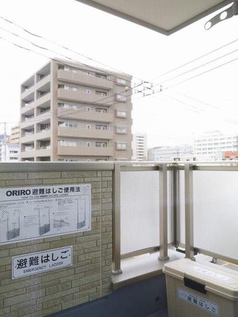 Naikan8 20230204000000