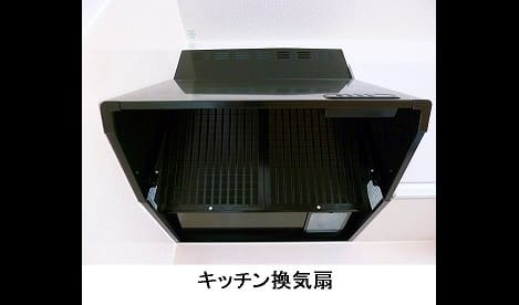 Naikan3 20260826000000