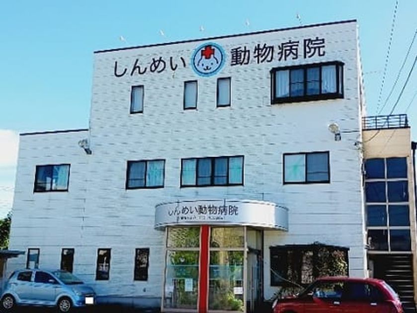 Naikan18 20250221000000 945x630