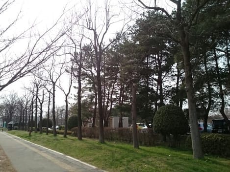 Naikan18 20240404000000