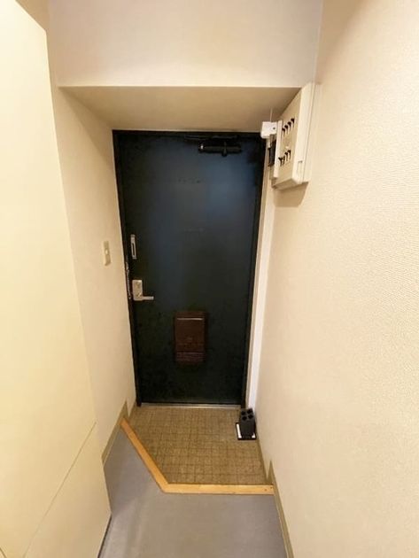 Naikan14 20250130121417 945x630