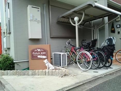 Naikan11 20201109000000