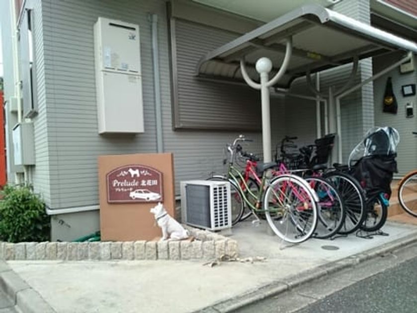 Naikan11 20201109000000 945x630
