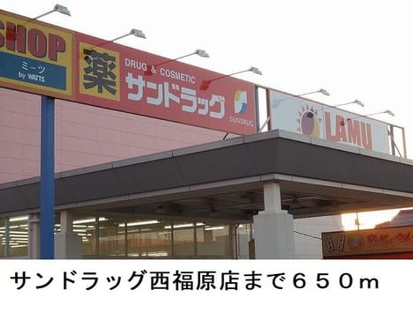 Naikan17 20250208000000 945x630