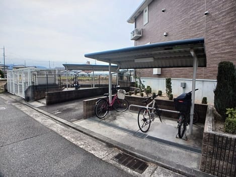 Naikan11 20260302000000