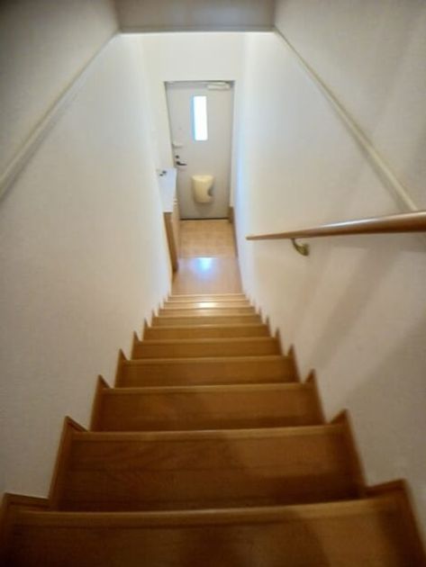 Naikan7 20250925000000 945x630