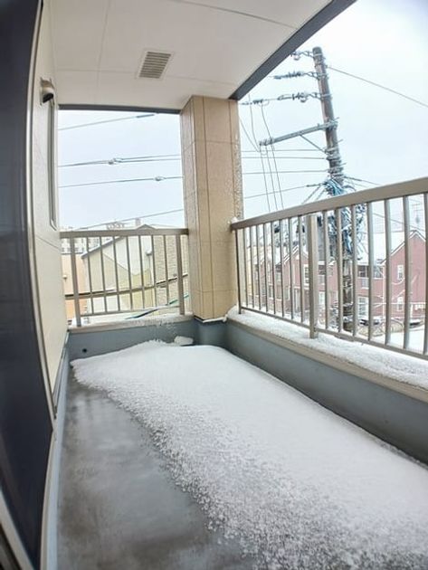 Naikan8 20250218000000 945x630