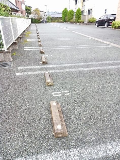 Naikan12 20251022000000 945x630