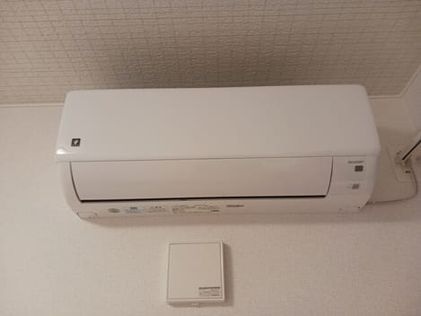 Naikan8 20250515000000