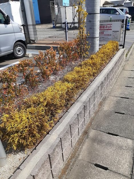 Naikan4 20220218000000