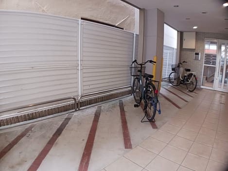 Naikan11 20241204000000