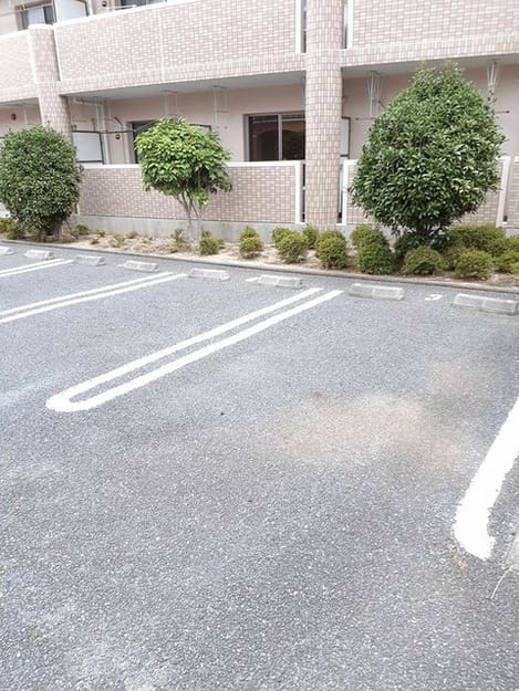 Naikan11 20240819000000