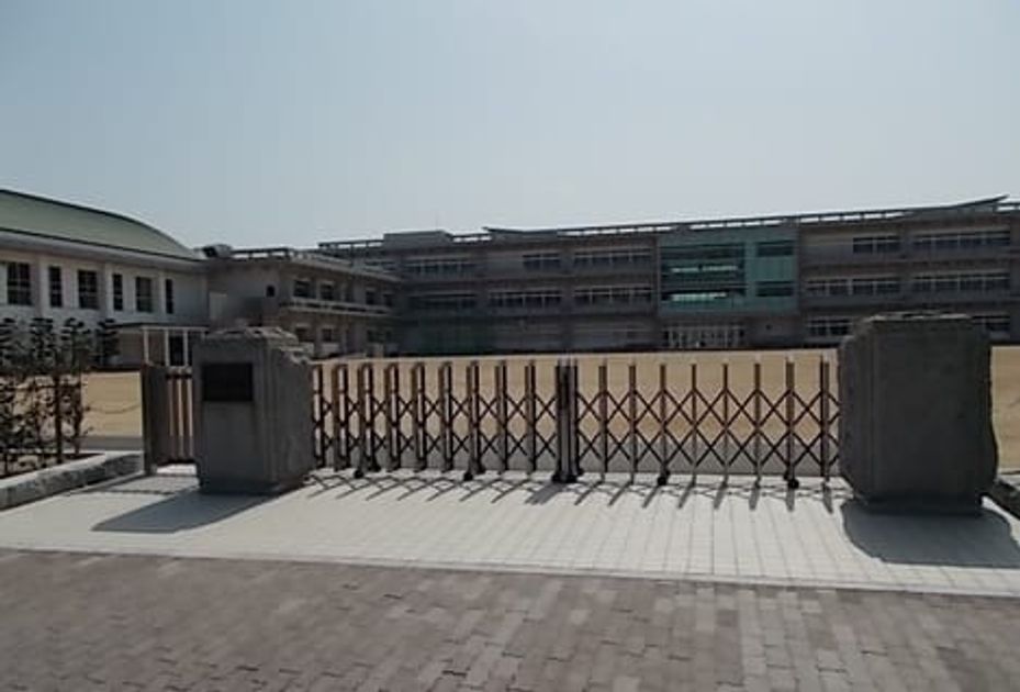 Naikan13 20200604000000 945x630