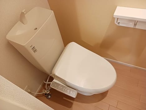 Naikan6 20241114000000