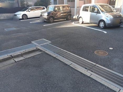 Naikan11 20211111000000