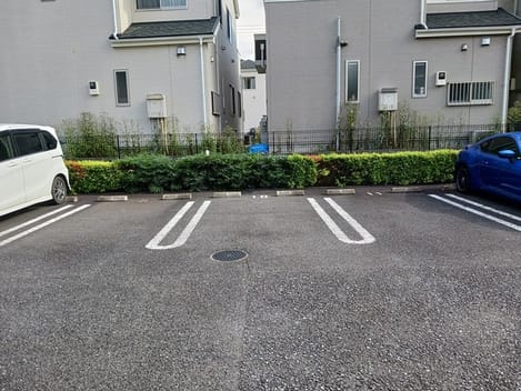 Naikan11 20241007000000