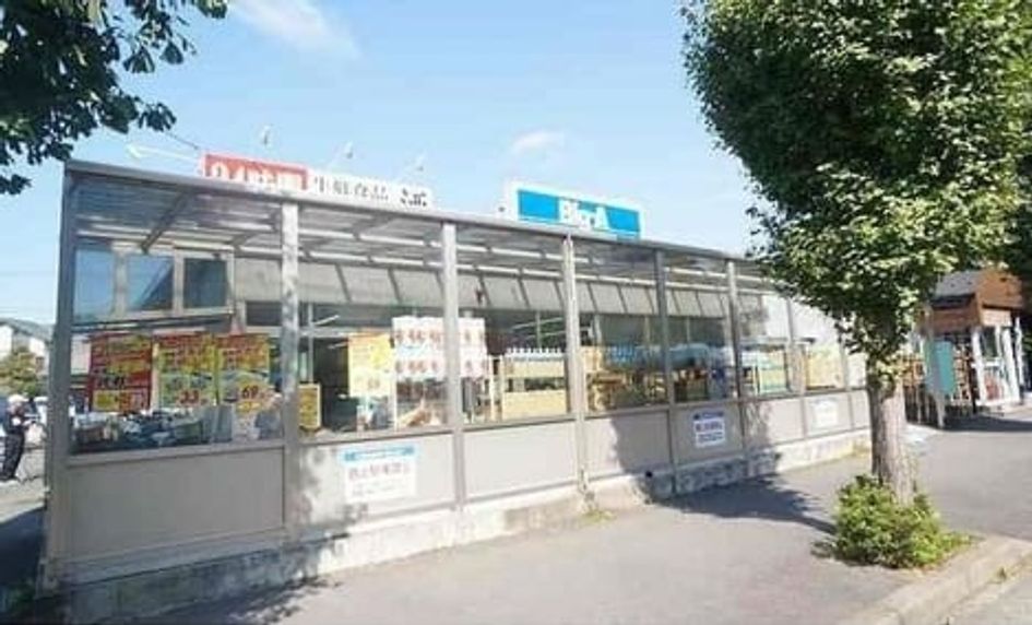 Naikan5 20250218000000 945x630