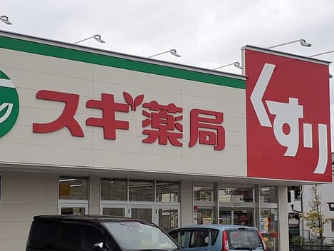 Naikan13 20210416000000