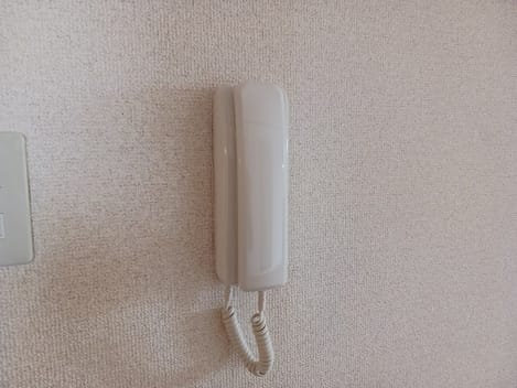 Naikan9 20250708000000