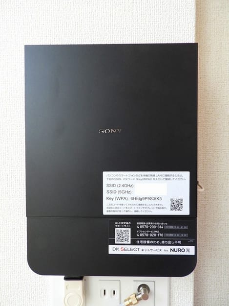 Naikan10 20250204000000
