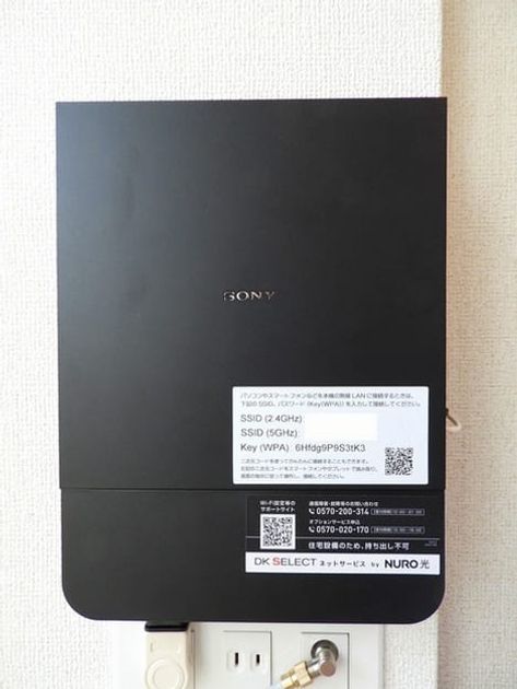 Naikan10 20250204000000 945x630