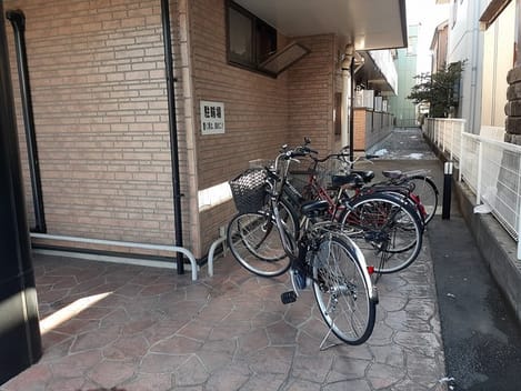 Naikan11 20240208000000