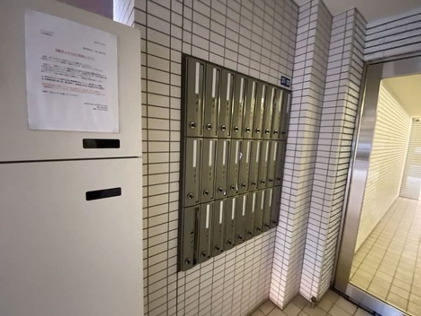 Naikan20 20250417035012 945x630