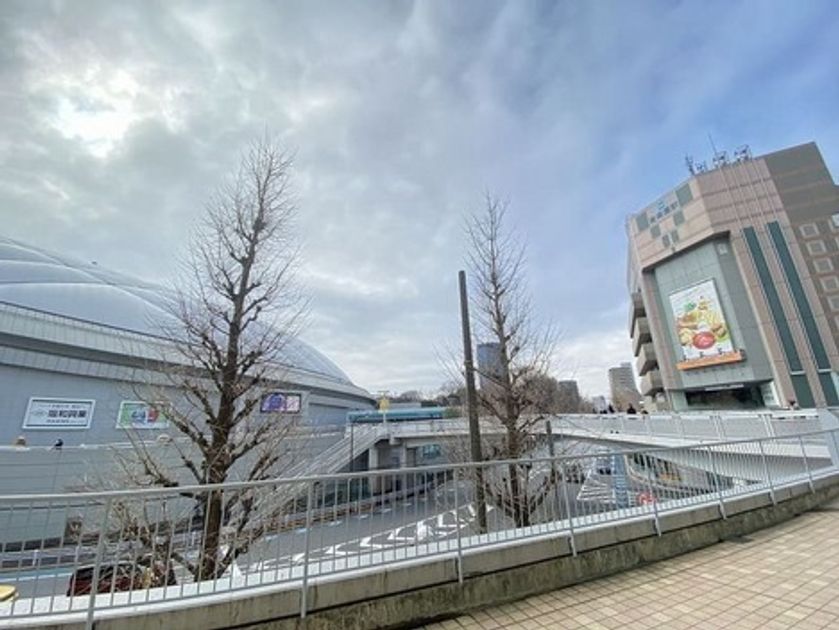Naikan23 20230119191442 945x630