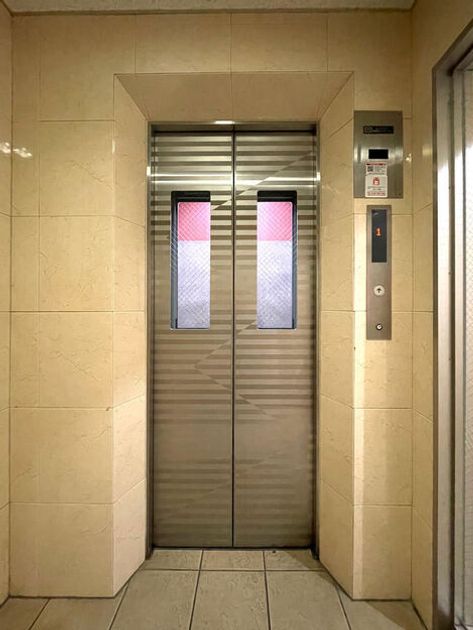 Naikan8 20251009113402 945x630