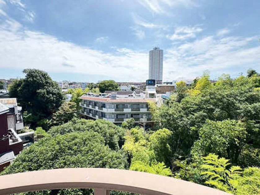 Naikan15 20250824110658 945x630