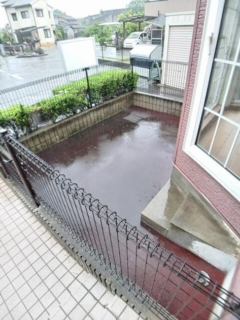 Naikan12 20250610000000 945x630