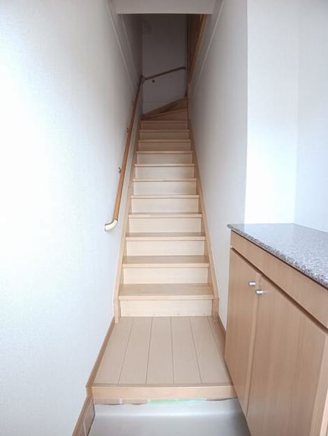 Naikan7 20250324000000 945x630
