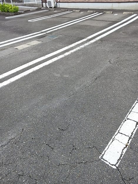 Naikan11 20260820000000