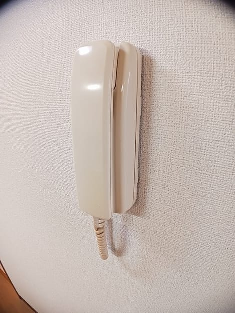 Naikan12 20250214000000