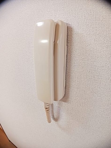 Naikan12 20250214000000 945x630