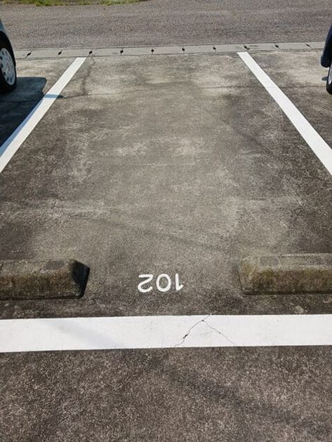 Naikan11 20250825000000 945x630