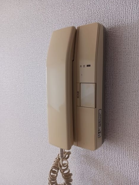 Naikan10 20250801000000