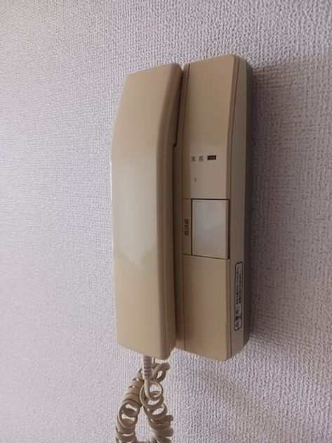 Naikan10 20250801000000 945x630