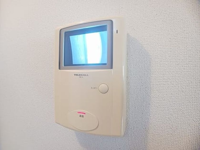 Naikan10 20250210000000 945x630