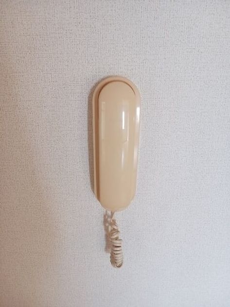 Naikan10 20250922000000 945x630