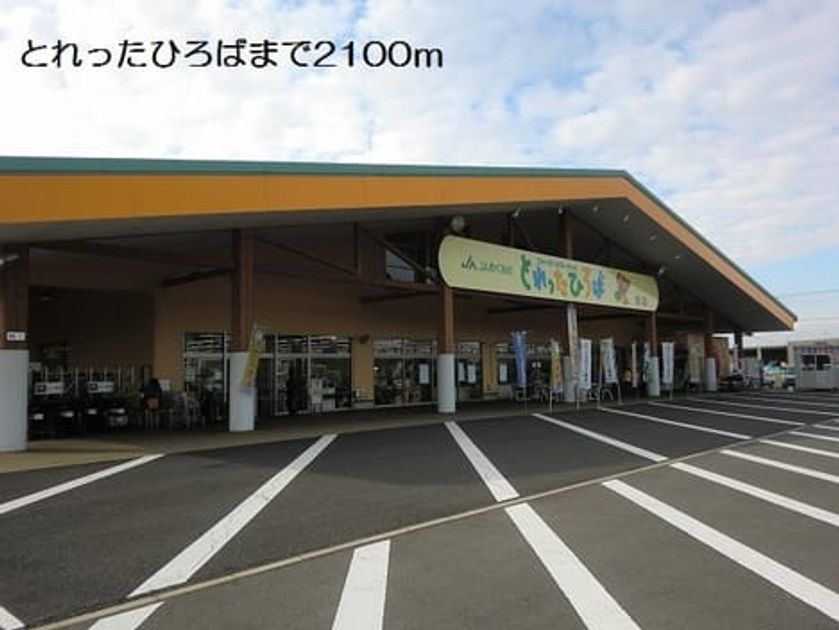 Naikan15 20180115000000 945x630