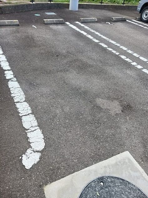 Naikan11 20251212000000 945x630
