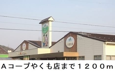 Naikan13 20250218000000