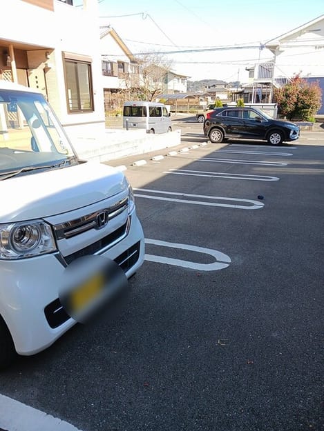Naikan9 20260108000000