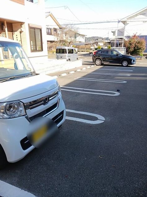 Naikan9 20260108000000 945x630