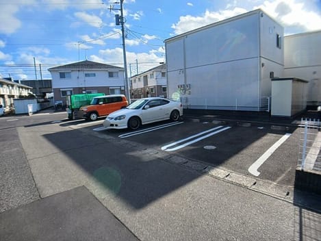 Naikan11 20260123000000
