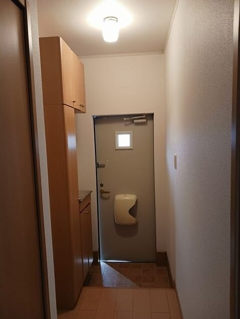 Naikan9 20250402000000 945x630