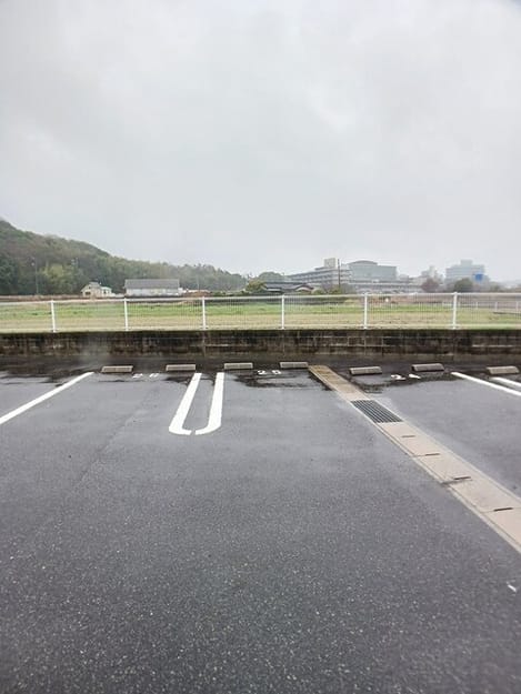 Naikan11 20260325000000