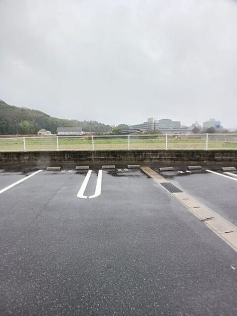 Naikan11 20260325000000 945x630