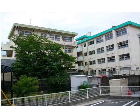 Naikan13 20200520000000